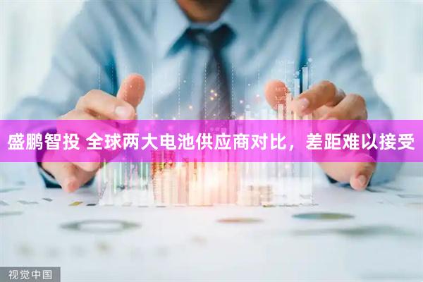 盛鹏智投 全球两大电池供应商对比，差距难以接受
