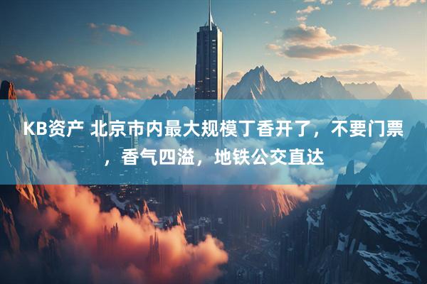 KB资产 北京市内最大规模丁香开了，不要门票，香气四溢，地铁公交直达