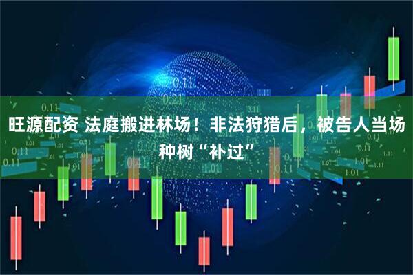 旺源配资 法庭搬进林场！非法狩猎后，被告人当场种树“补过”